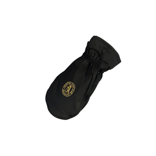 Prince's Weatherproof Mitten